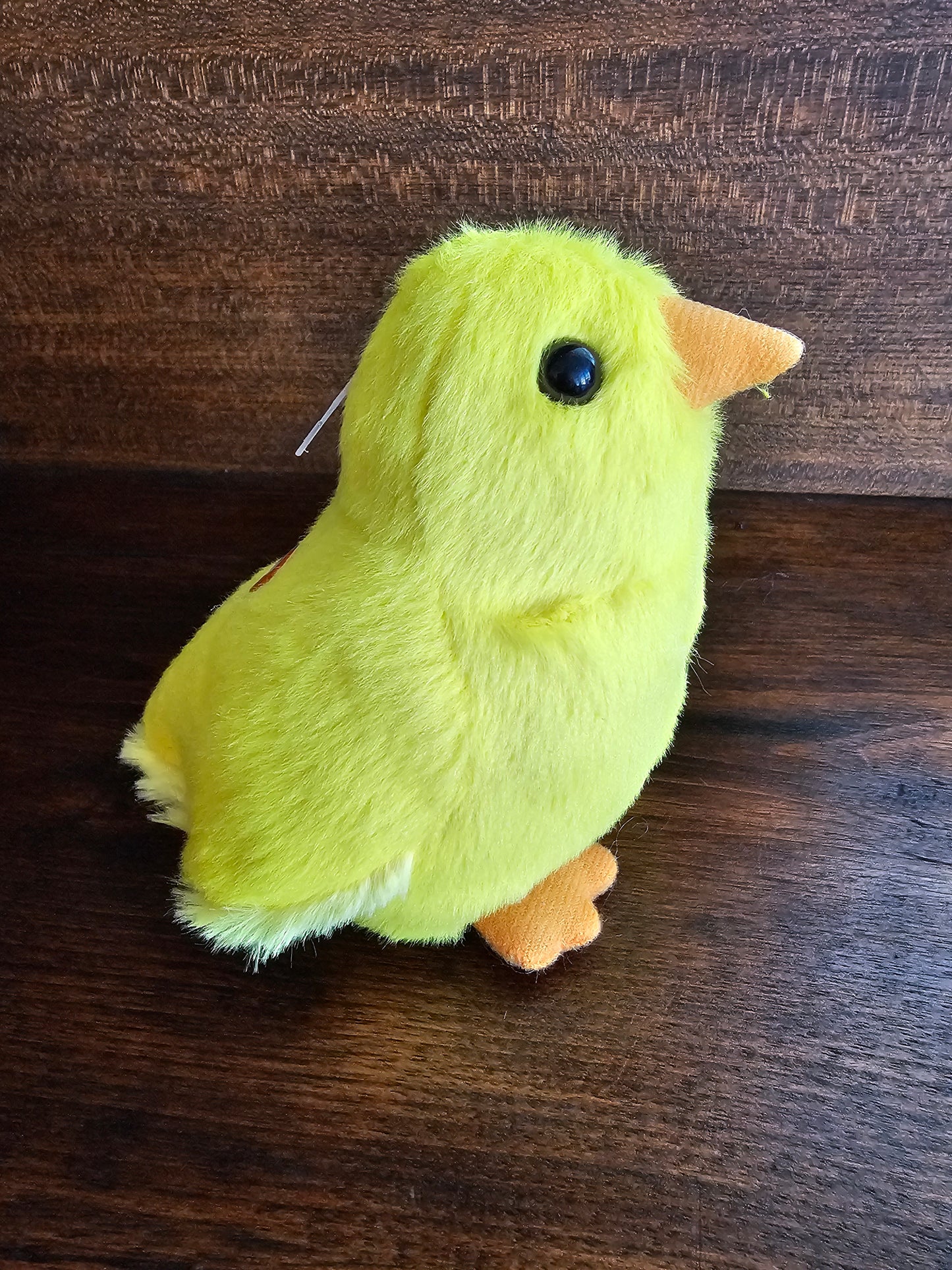 Peeping Baby Chick