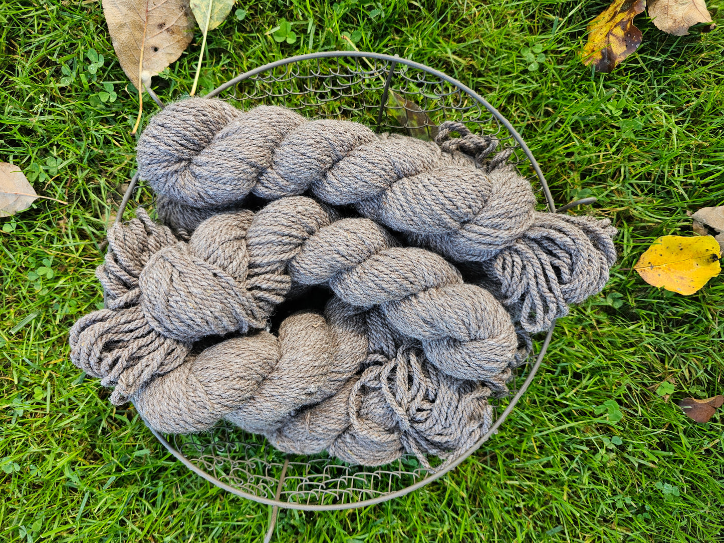 Anna - Worsted Rose Gray Yarn