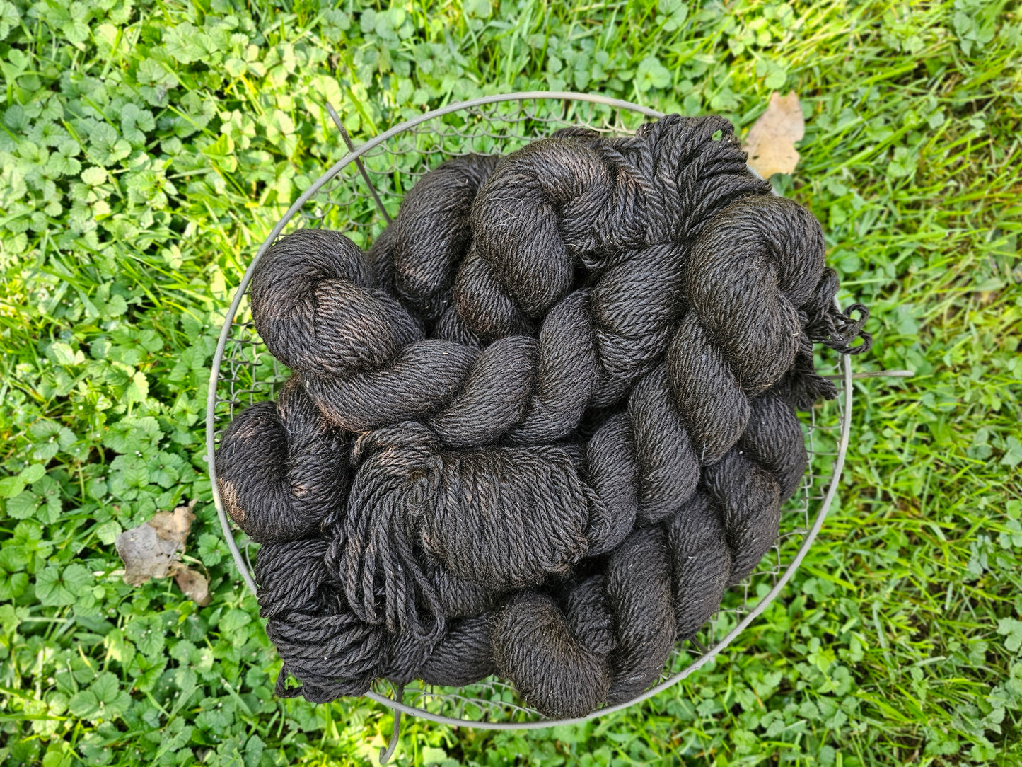 Pearls & Treasure - Worsted Black/ Bay Black Yarn