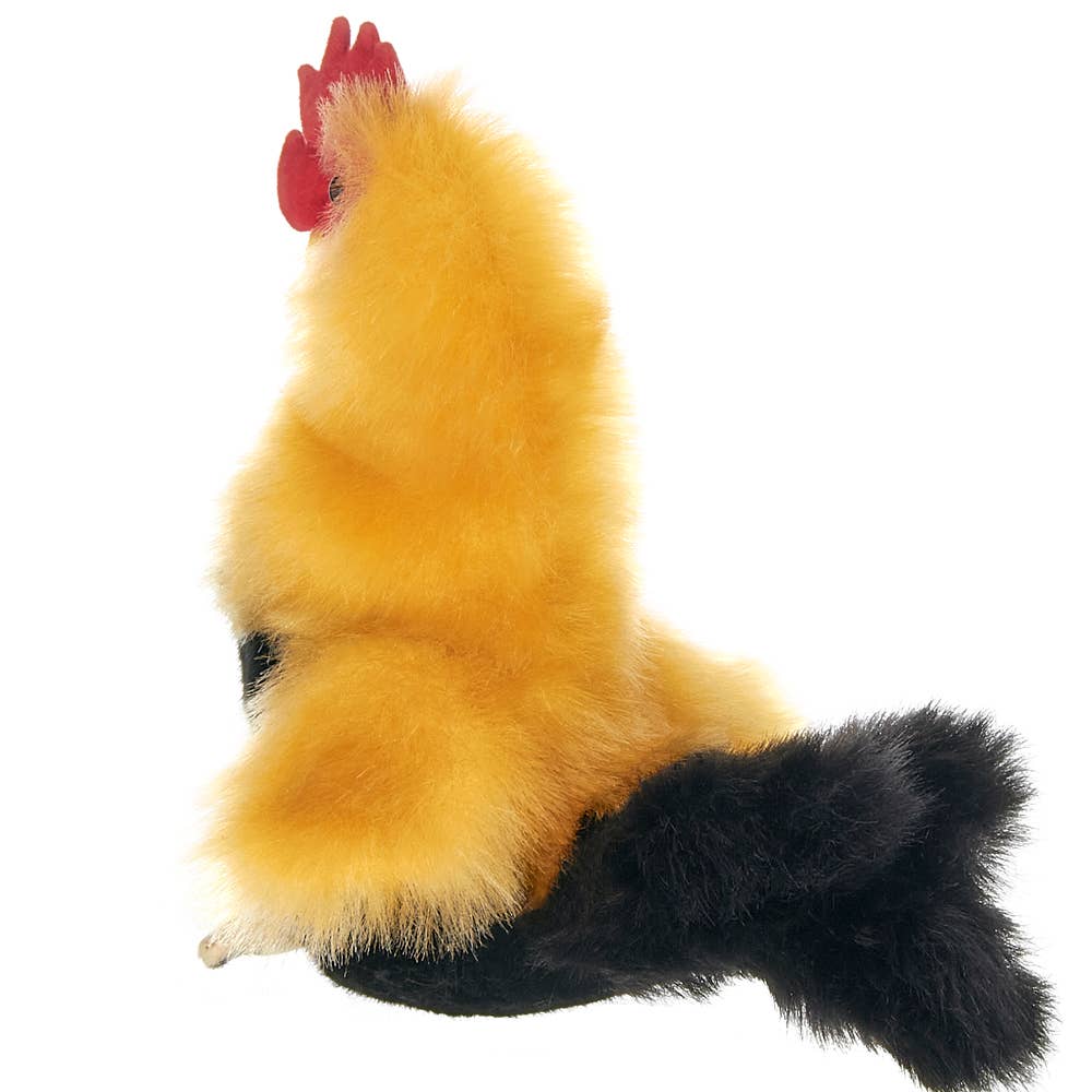 Roy the Rooster