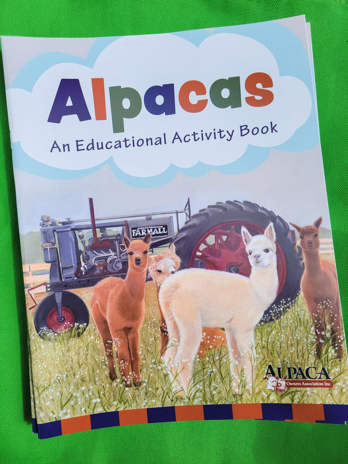 Activity coloring book