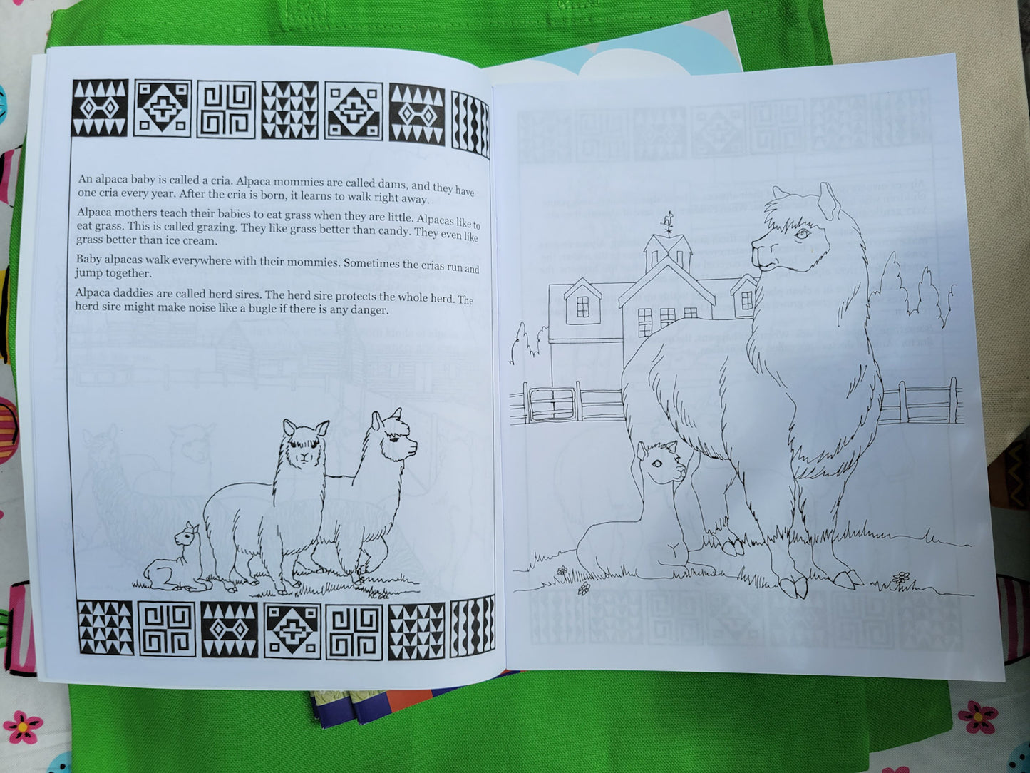 Activity coloring book