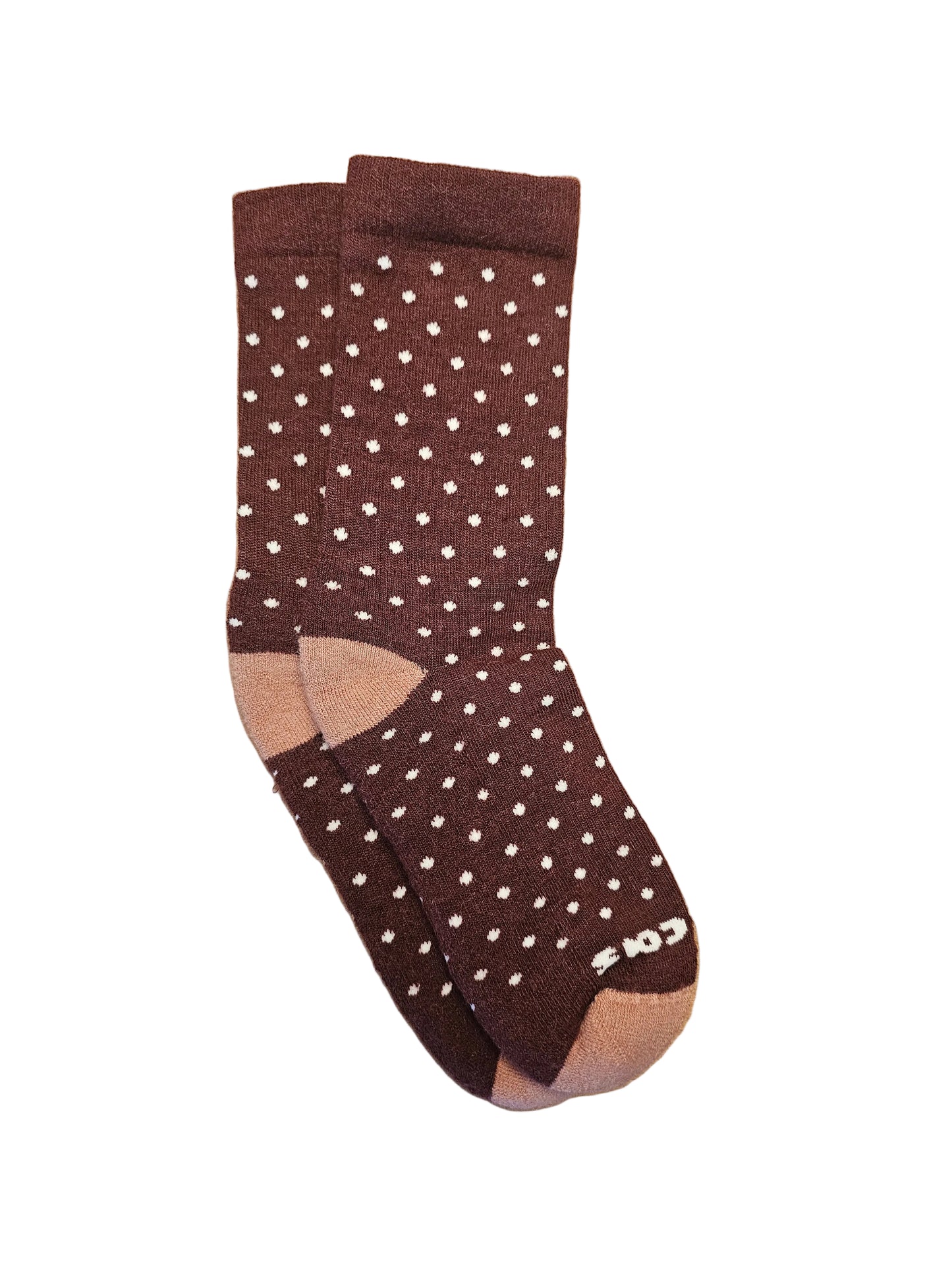 Women's Pacas Crew Burgandy Dots