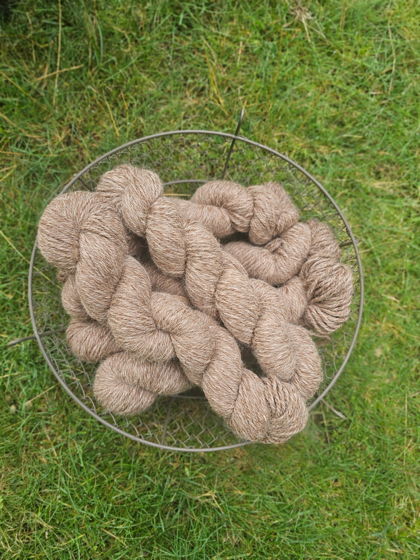 Tweed 100% Alpaca Yarn from Luna, Sonny & Lisa - Bulky Brown/Fawn