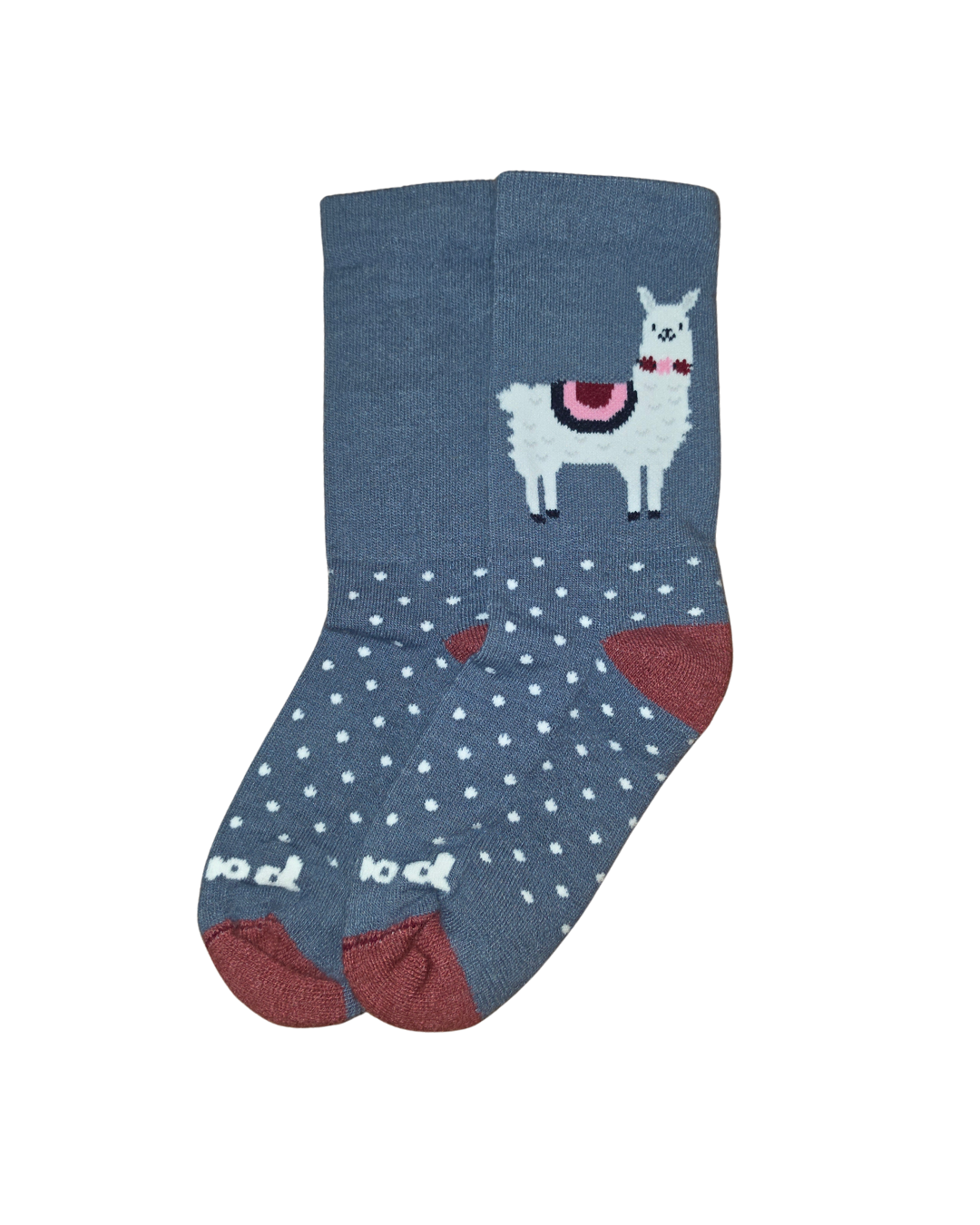 Women's Pacas Crew Socks Blue Alpaca Polka Dots