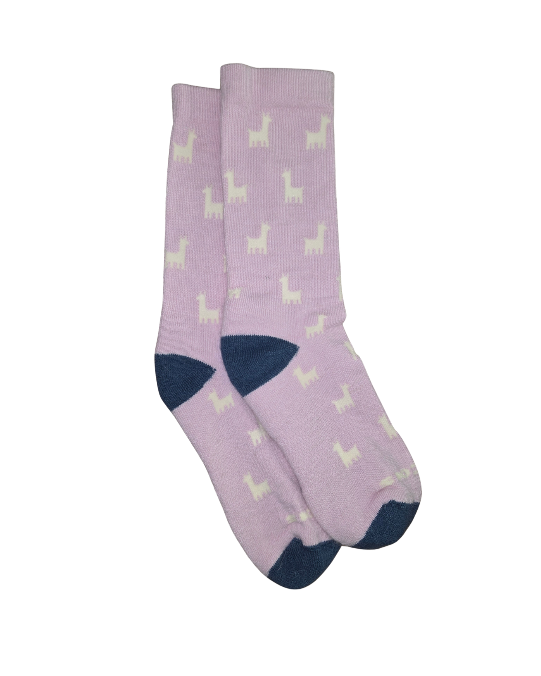 Women's Pacas Crew Pink Allover Alpaca Navy Heel