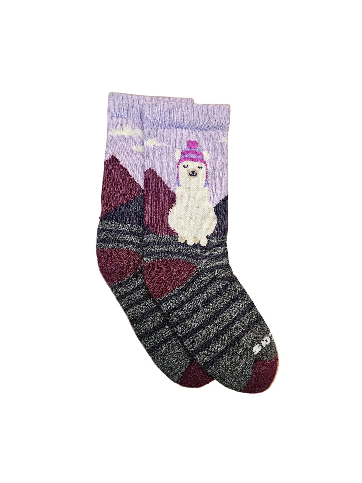 Women's Pacas Crew Thistle Alpaca