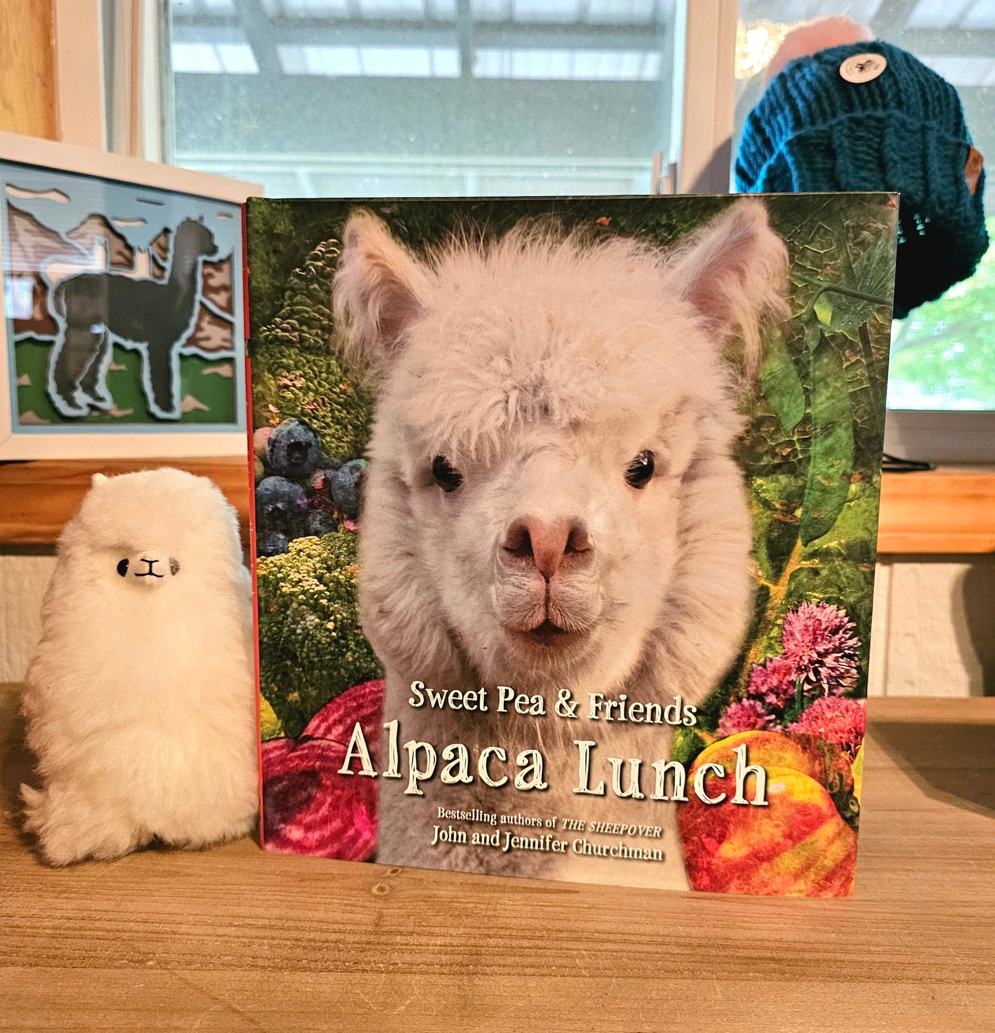 Alpaca Lunch