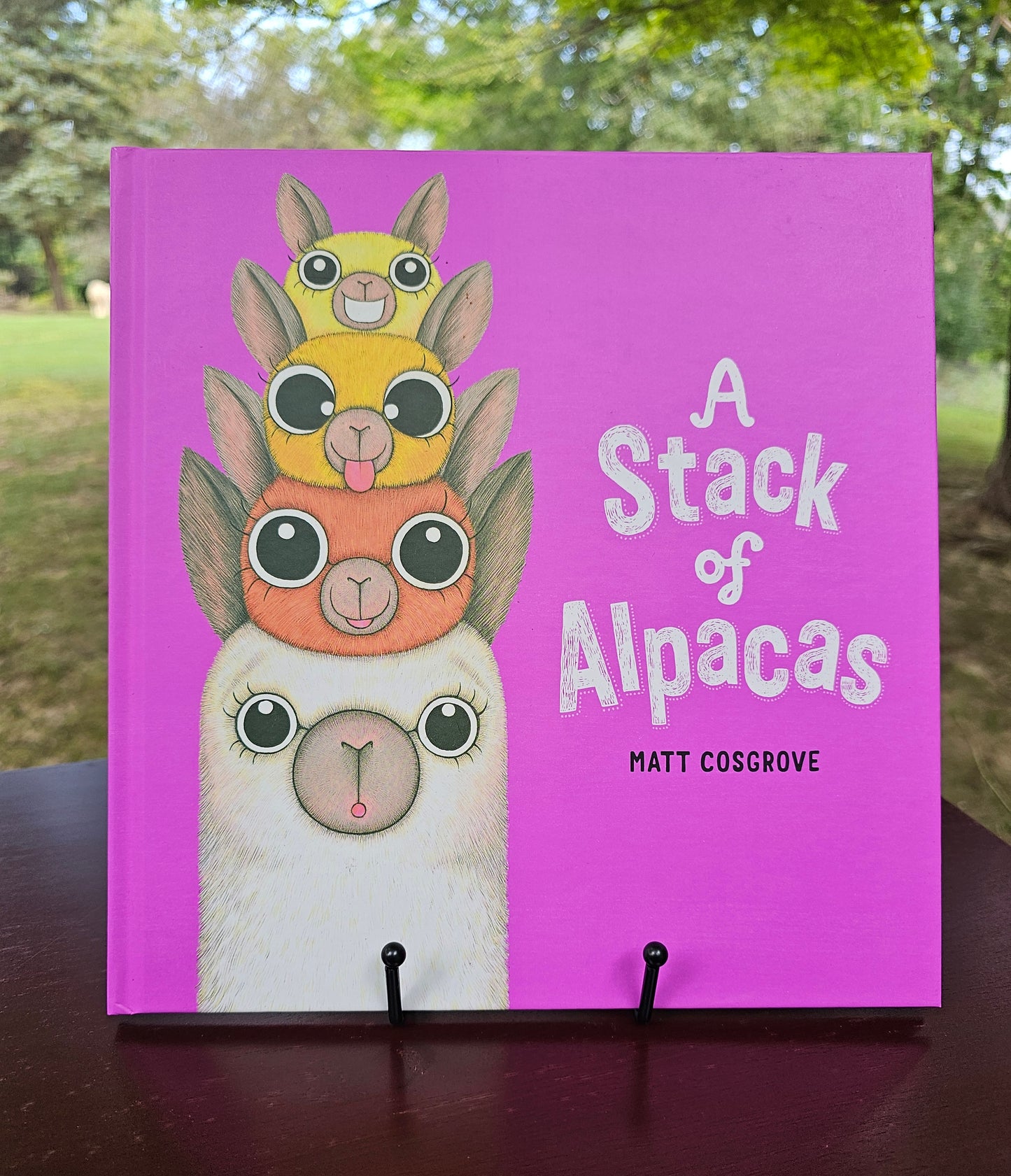 A Stack of Alpacas by Matt Cosgrove