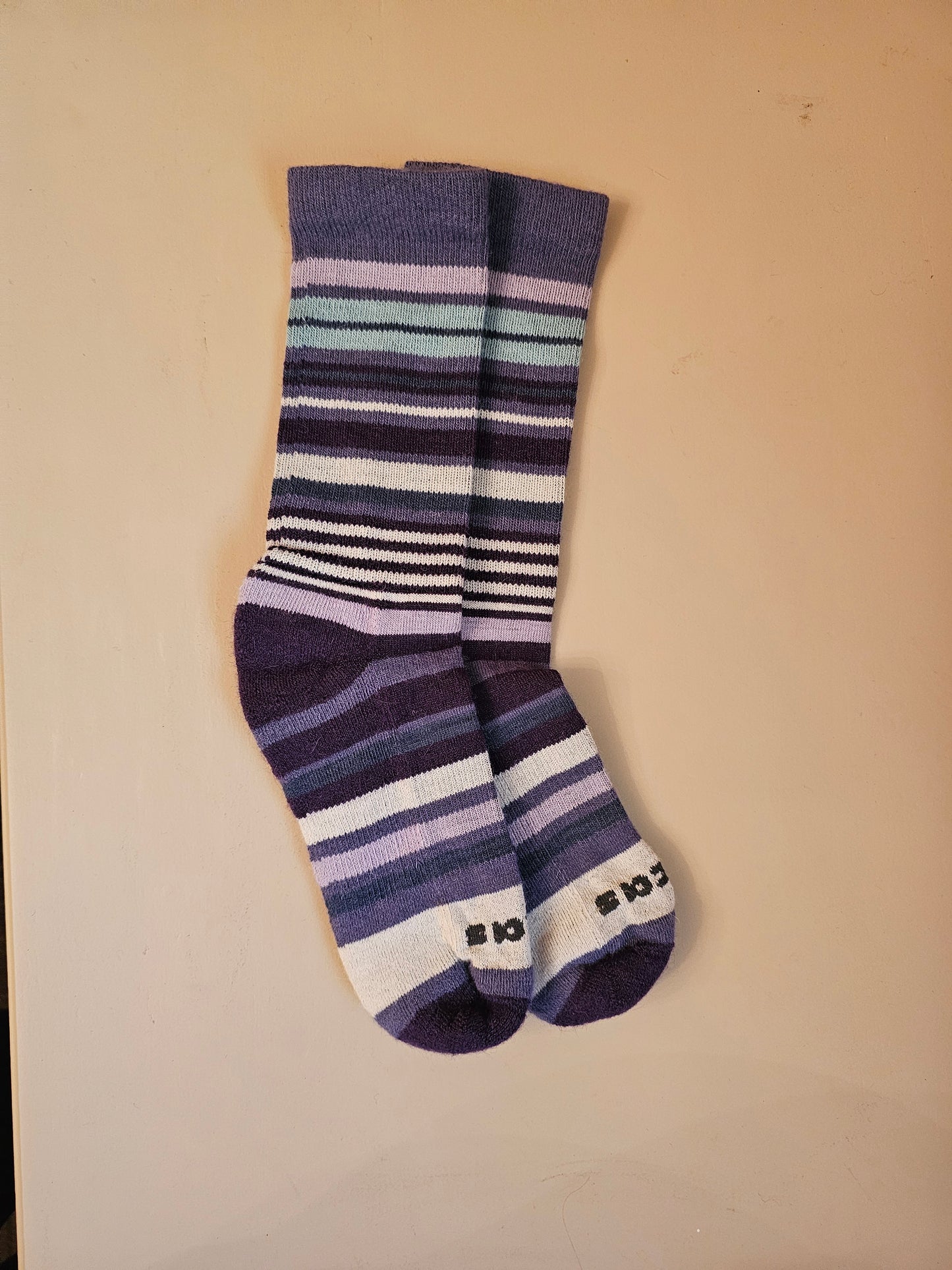 Women's Fall Harvest Pacas Socks