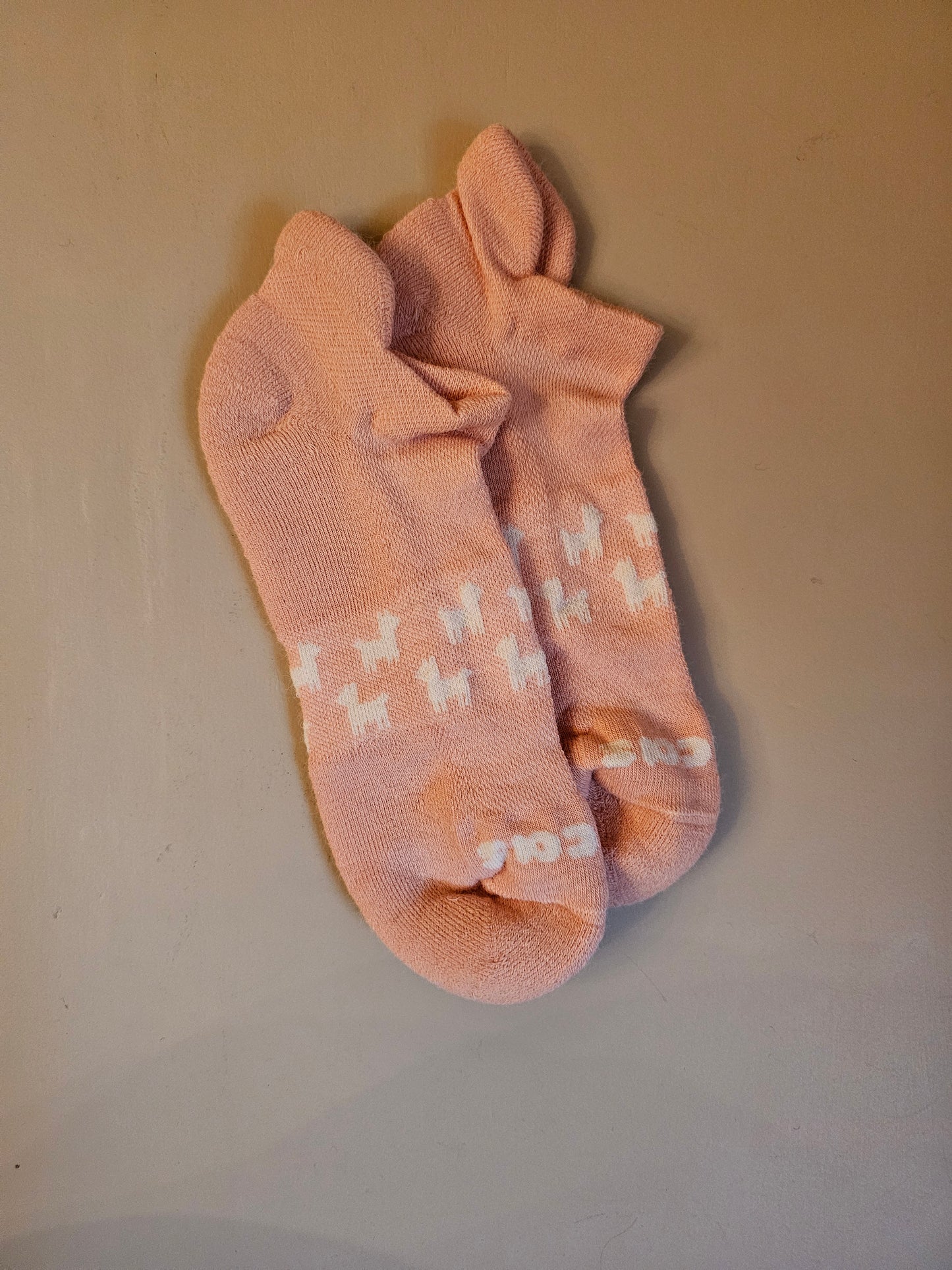 New Low Cut Women's Pacas Socks