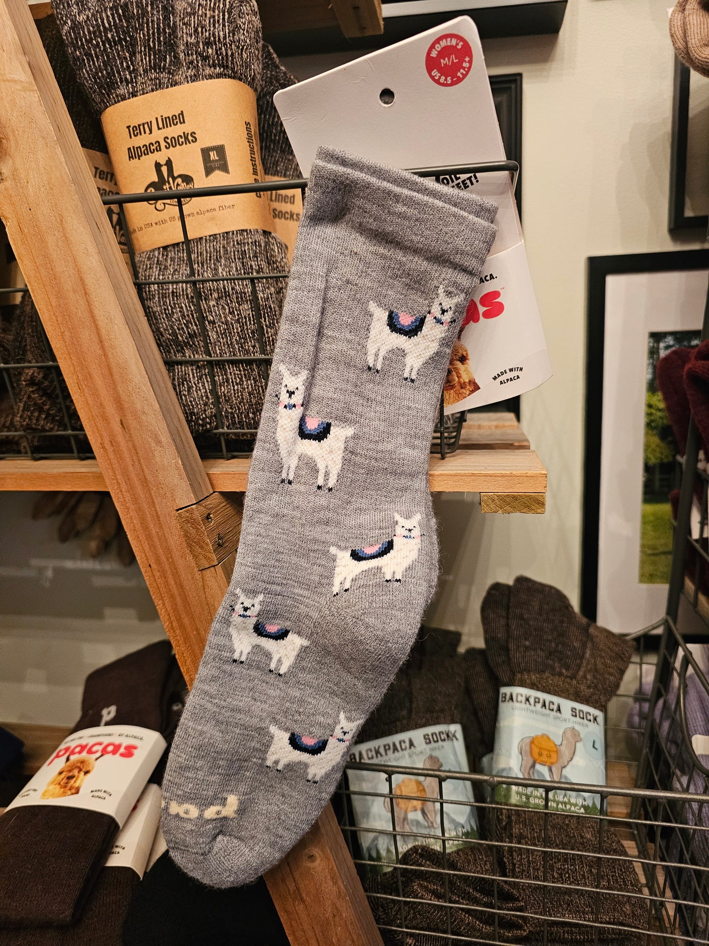 Women's Pacas Crew Gray w/Alpacas