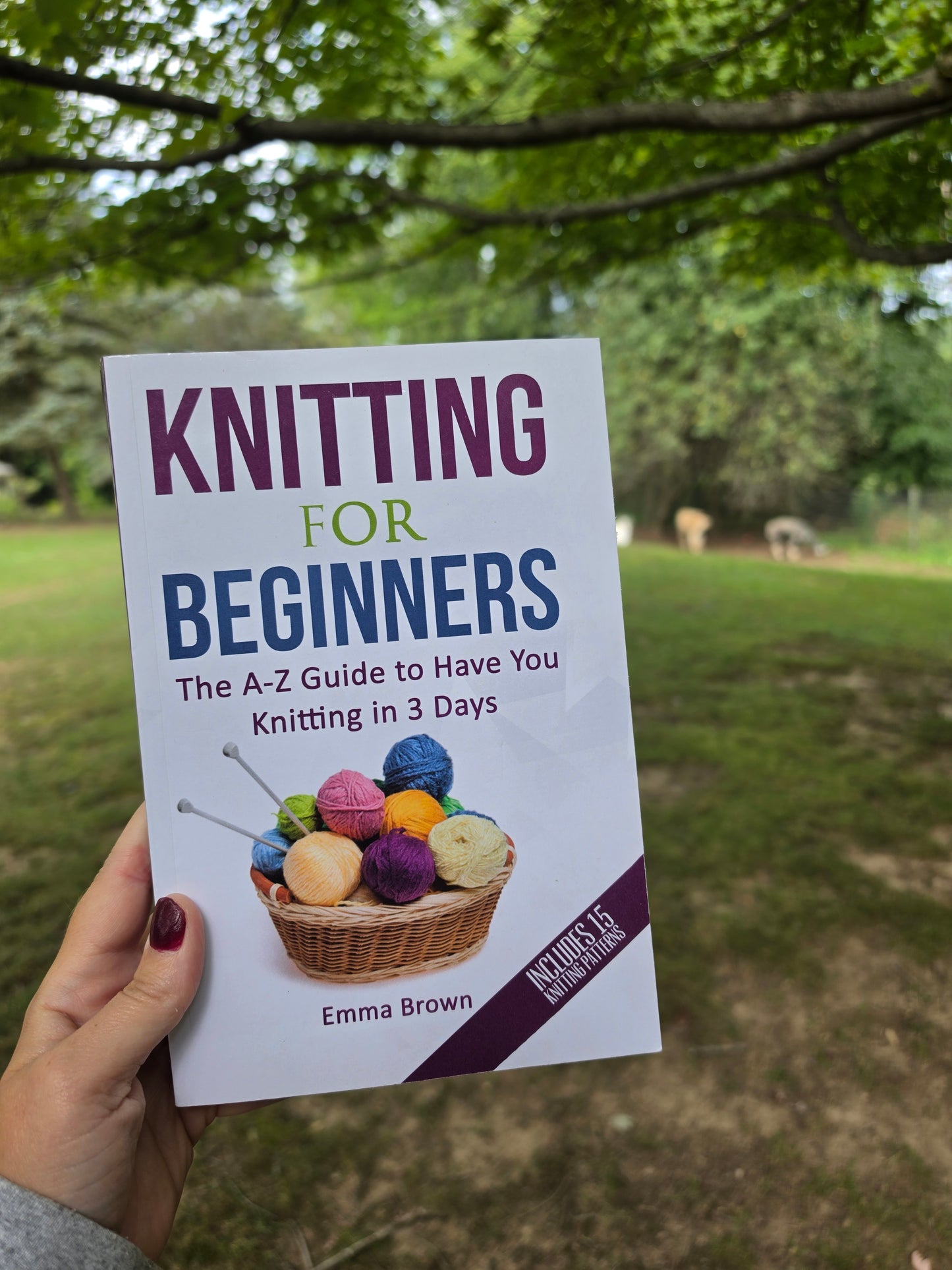 Knitting for Beginners by Emma Brown