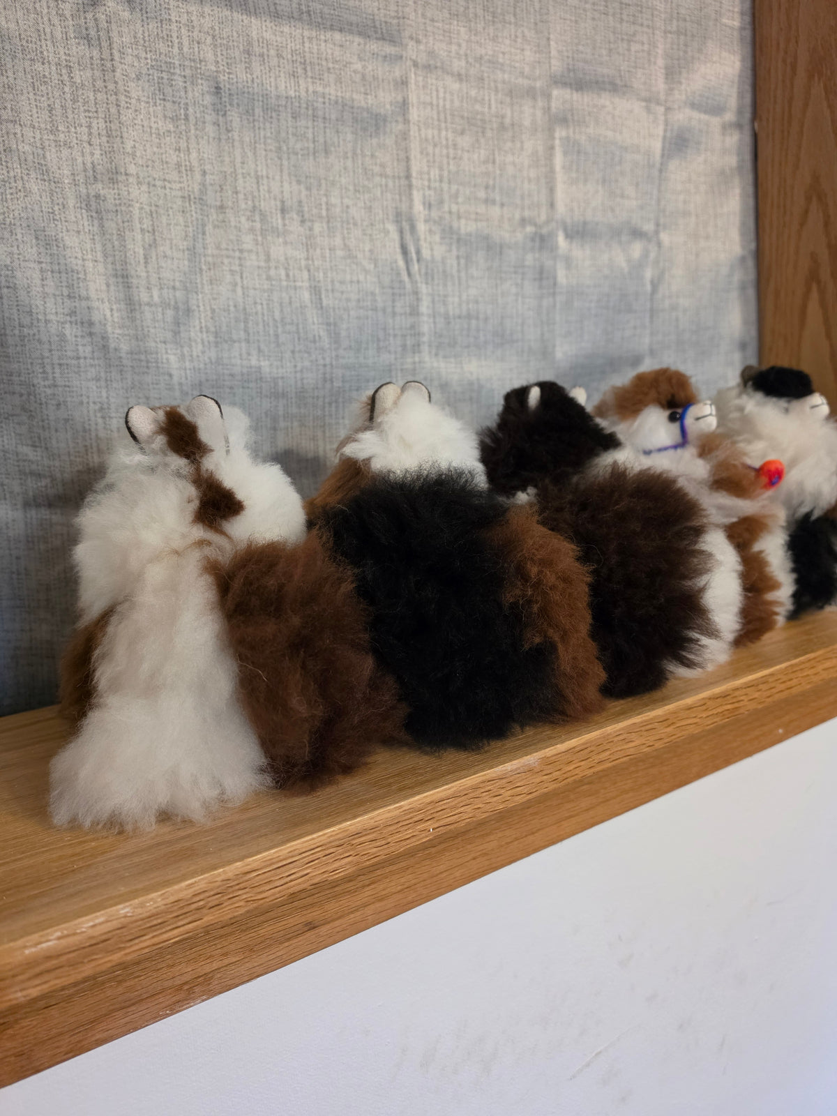 6 inch Standing Alpaca