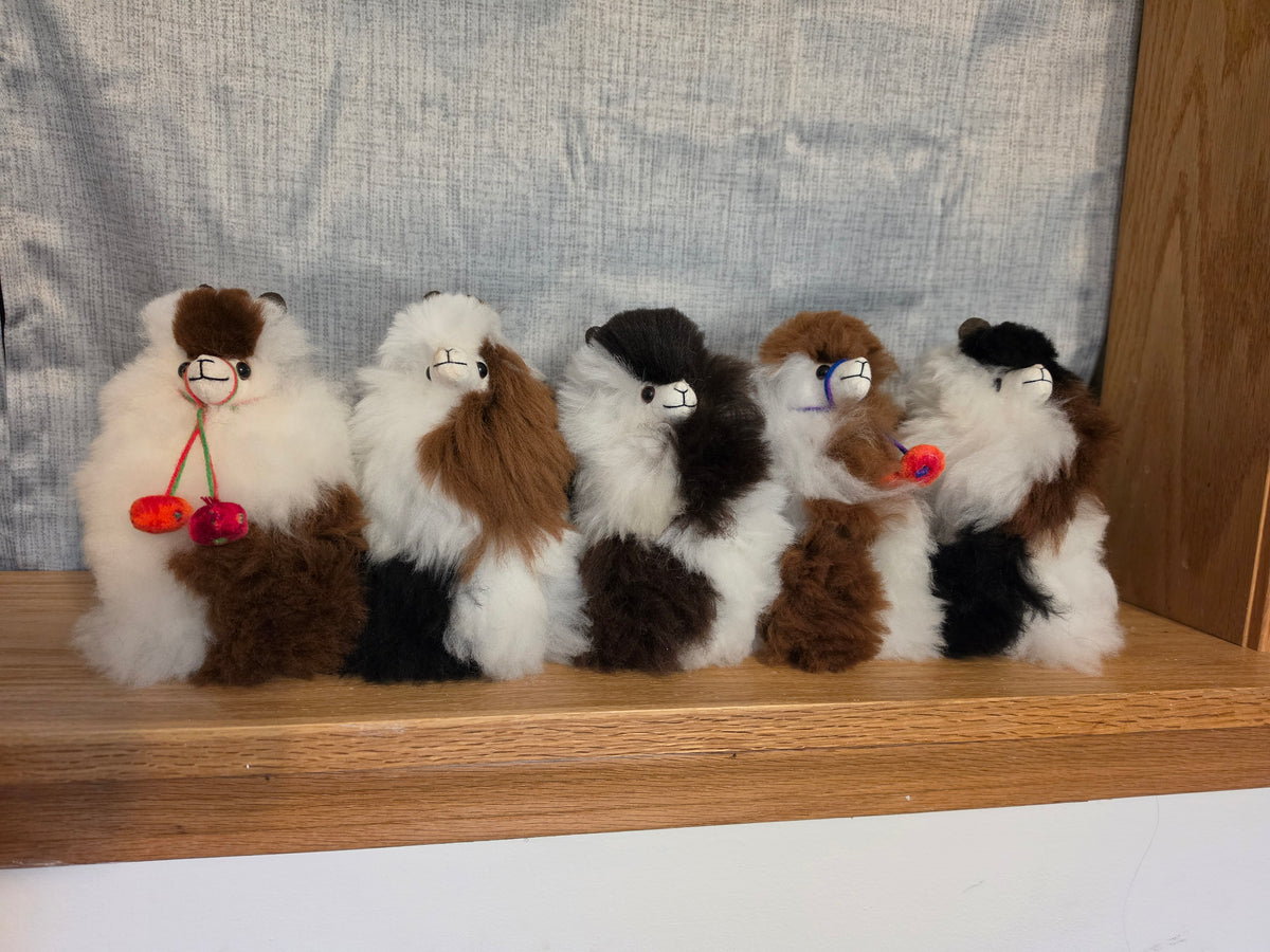 6 inch Standing Alpaca