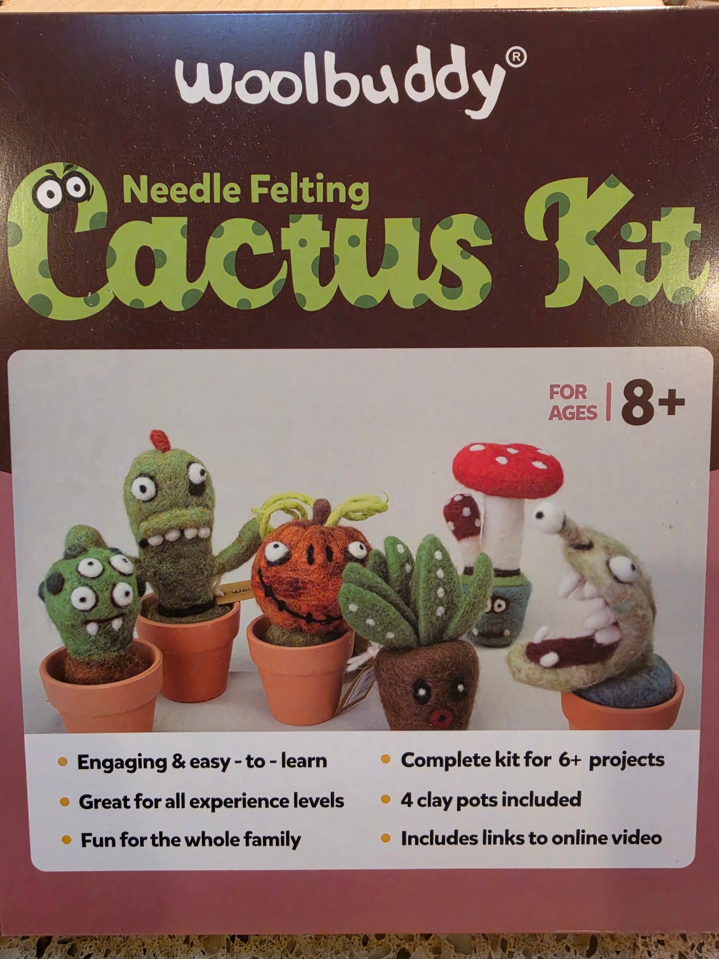 Woolbuddy Needlefelting Cactus Kit